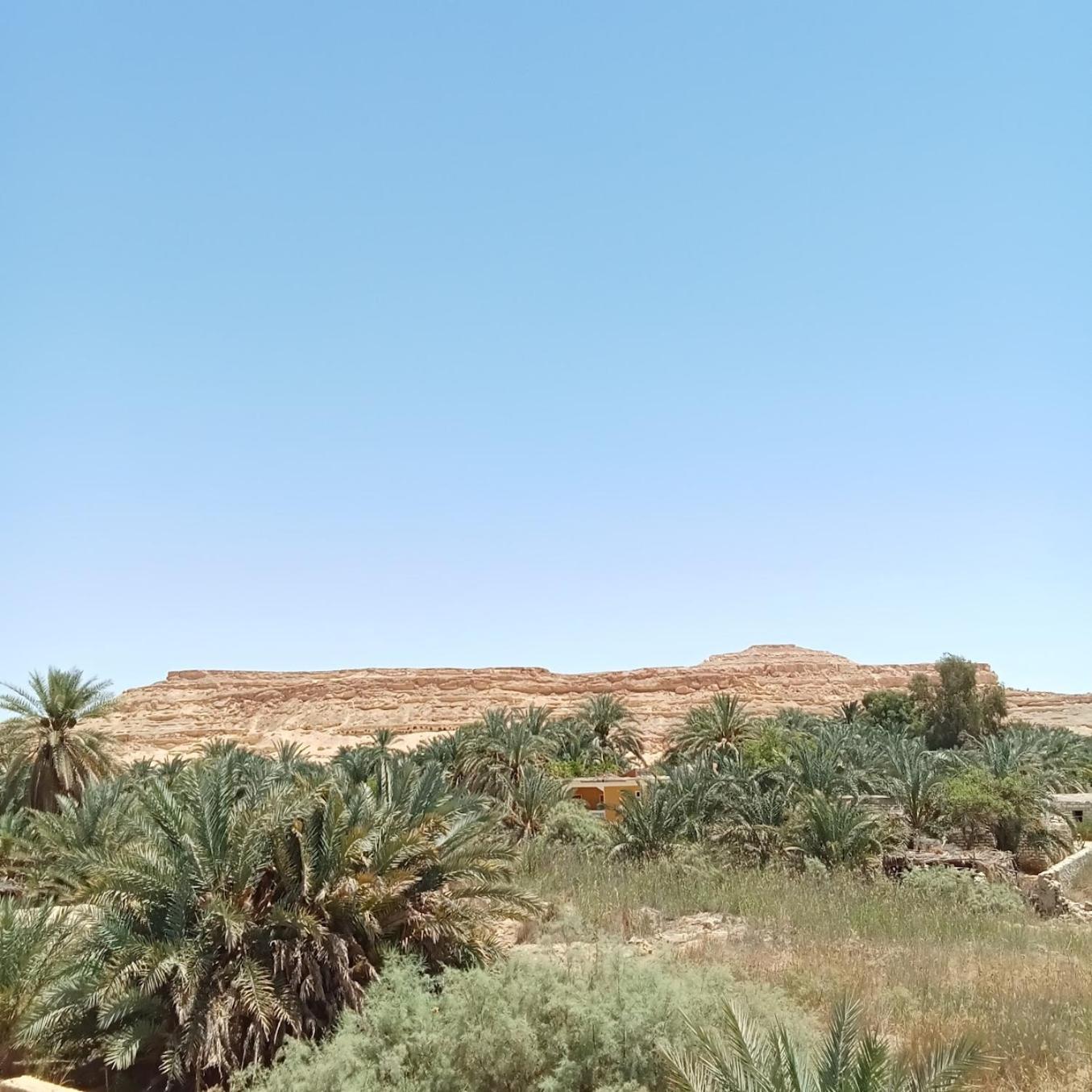 Tanirt Ecolodge Siwa Oasis Exterior foto